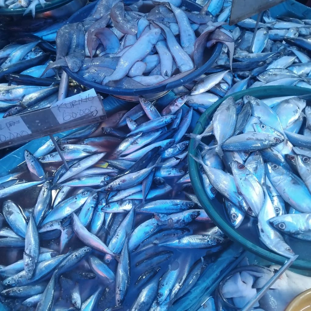 Ikan