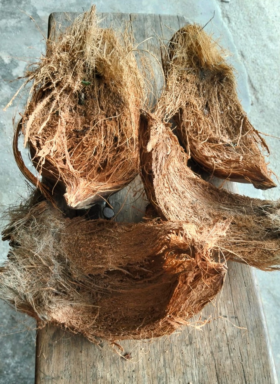 Sabut Kelapa